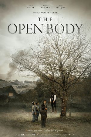 O corpo aberto's poster
