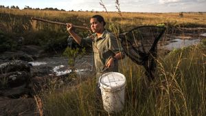 Into the Okavango's poster