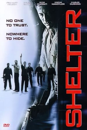 Shelter's poster