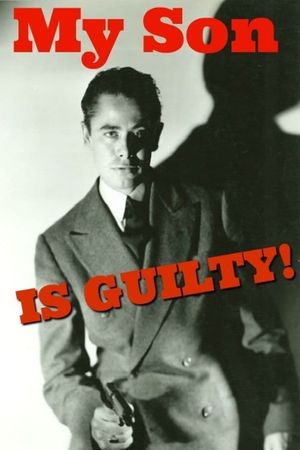 My Son Is Guilty's poster
