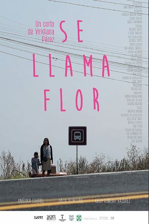 Her Name Is Flor's poster image