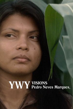 YWY, Visions's poster