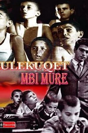 Lulekuqet mbi mure's poster