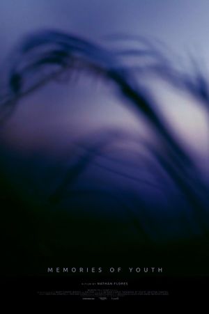 Memories of Youth's poster