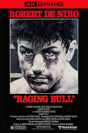 Raging Bull's poster