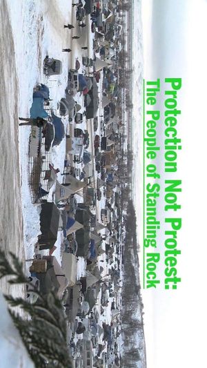 Protection Not Protest: The People of Standing Rock's poster