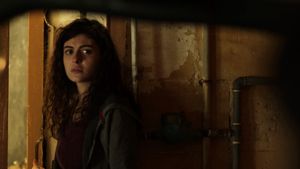 Amira's poster