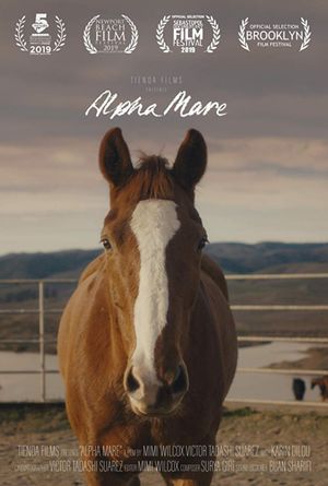 Alpha Mare's poster