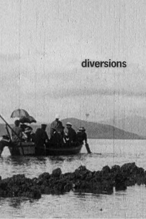 Diversions's poster