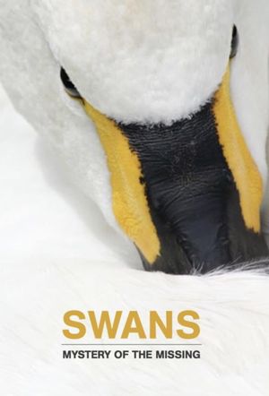 Swans: Mystery of the Missing's poster