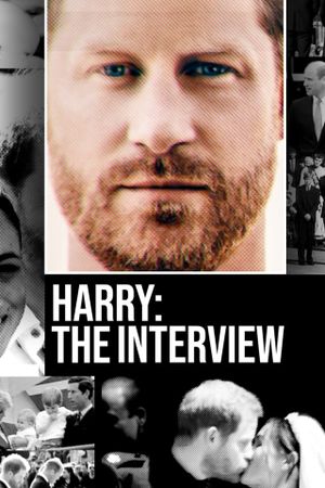 Harry: The Interview's poster