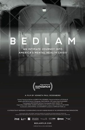 Bedlam's poster image