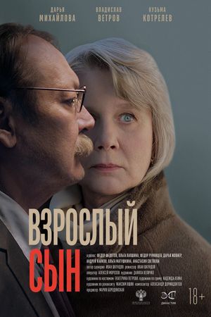 Взрослый сын's poster