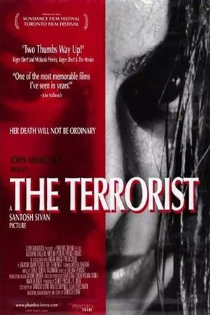 The Terrorist's poster image
