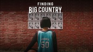 Finding Big Country's poster