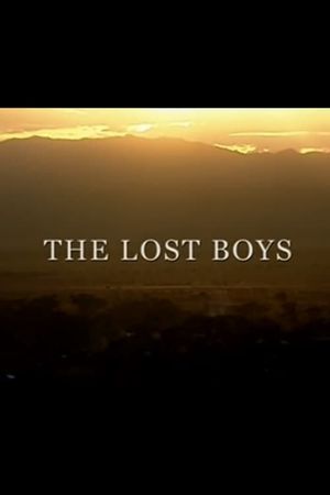 The Lost Boys's poster