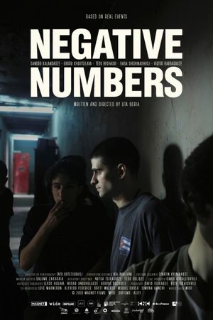 Negative Numbers's poster