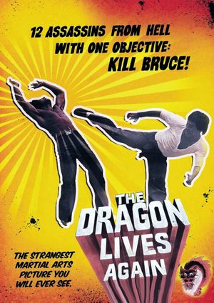 Deadly Hands of Kung Fu's poster