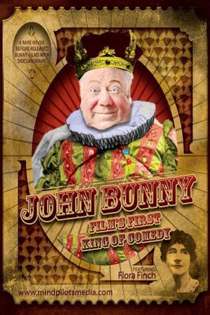 Bunny's Dilemma's poster