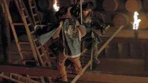 The Musketeer's poster