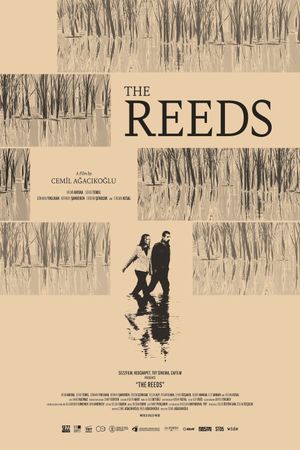 The Reeds's poster image