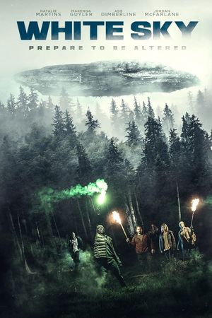 White Sky's poster