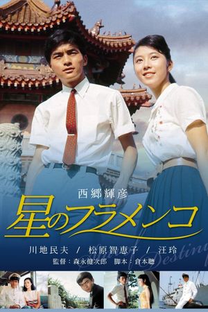 Hoshi no flamenco's poster