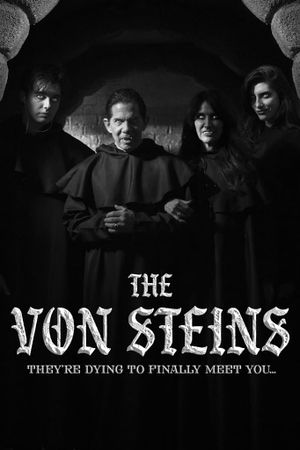 THE VON STEINS's poster