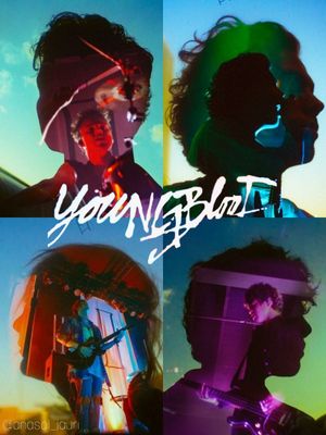 On the Record: 5 Seconds of Summer - Youngblood's poster