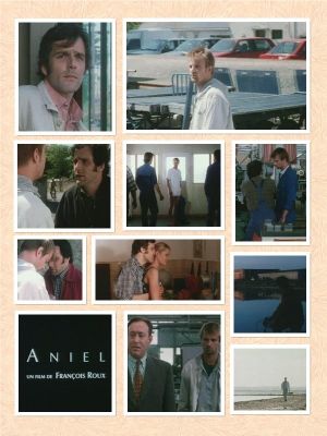 Aniel's poster