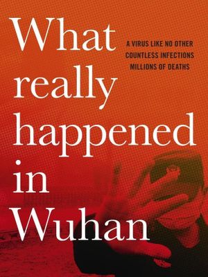 What Really Happened in Wuhan's poster