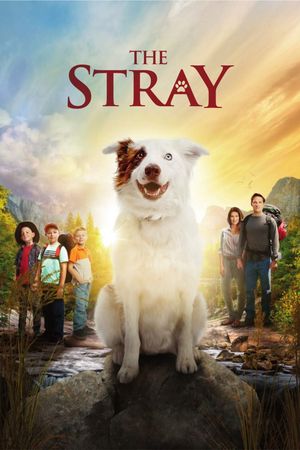 The Stray's poster