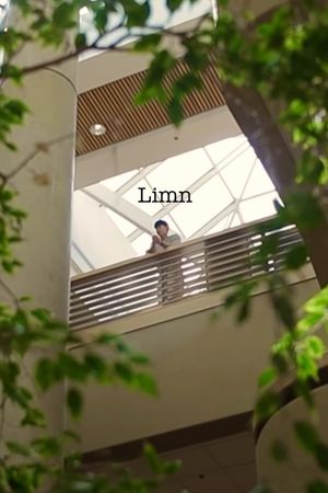 Limn's poster image