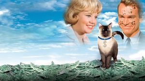 That Darn Cat!'s poster