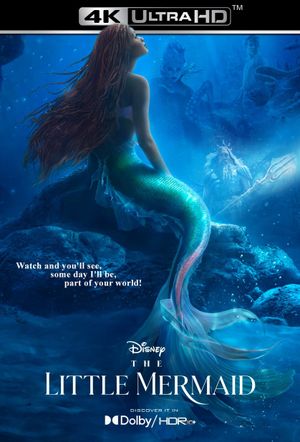 The Little Mermaid's poster