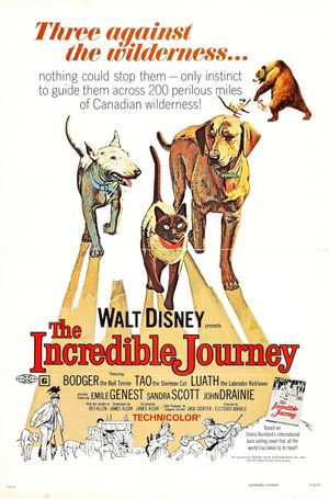 The Incredible Journey's poster image