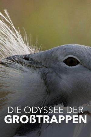 Die Odyssee der Großtrappen - Das Comeback der Riesenvögel's poster