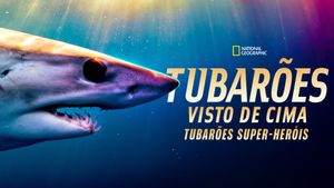 Shark Superpower's poster