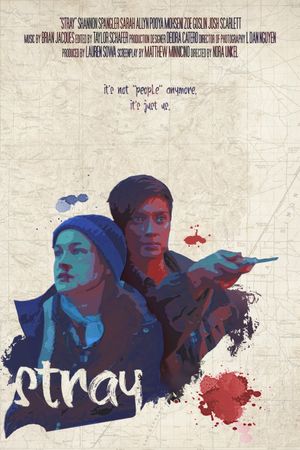 Stray's poster