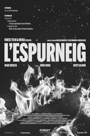 L'Espurneig's poster