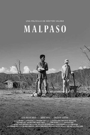 Malpaso's poster