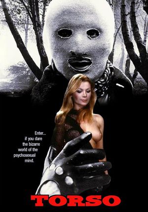Torso's poster