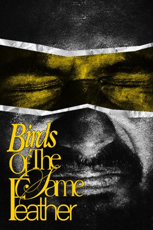 Birds Of The Same Feather.'s poster