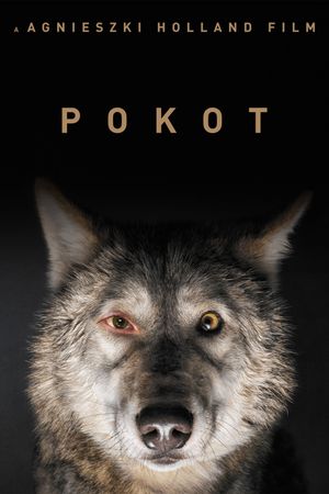 Spoor's poster