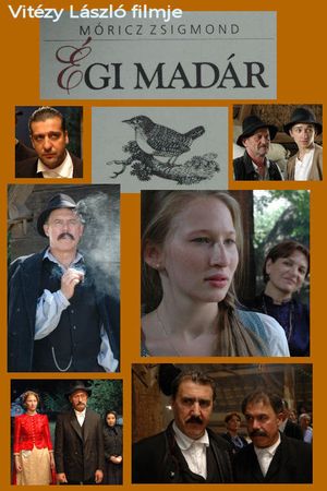 Égi madár's poster