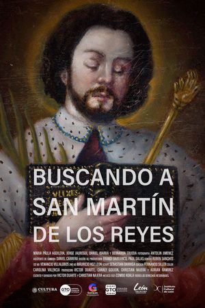 Looking for San Martín de los Reyes's poster