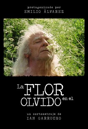 La flor en el olvido's poster image