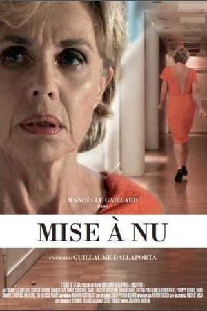 Mise à nu's poster