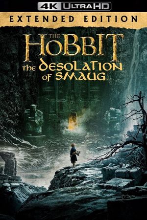 The Hobbit: The Desolation of Smaug's poster