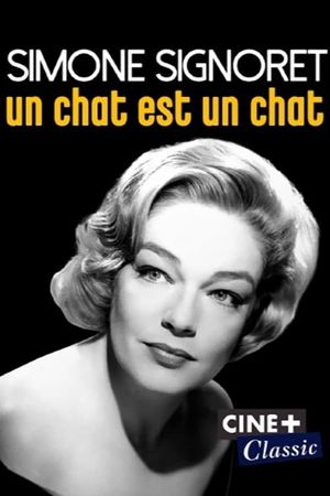 Simone Signoret, un chat est un chat's poster